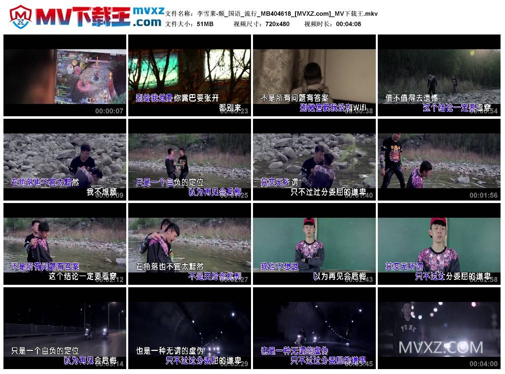 李雪莱-颓_国语_流行_MB404618